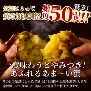 焼き芋 冷凍 紅はるか 1kg 薩摩あま蜜 完熟焼き芋 1人暮らし 【フレッシュジャパン鹿児島】 A-180-A