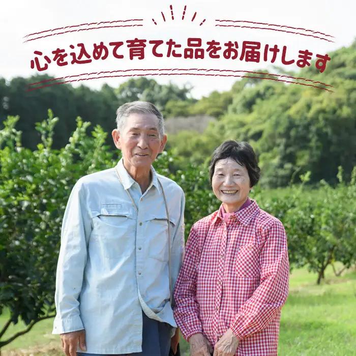 ＜令和7年産＞ひのひかり 玄米 (計10kg・5kg×2P) お米 ごはん ご飯【107101403】【あいはな農園】