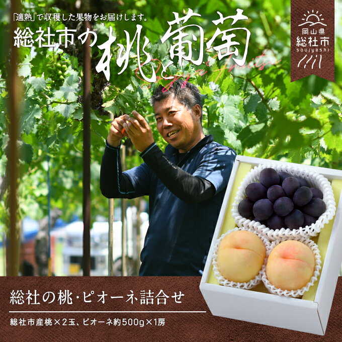 【ふるさと納税】【2025年産先行予約】もも 桃 岡山県 白桃 2玉 ピオーネ1房 詰合せ 総社市産 岡山県総社もも生産組合 25-020-002