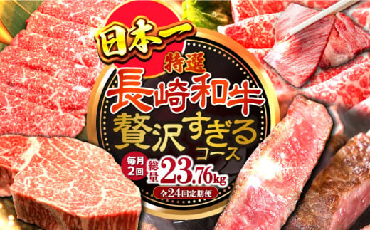 【24回定期便】長崎和牛毎月2回の贅沢すぎるコース（焼肉・鍋・ハンバーグ・ステーキ）総量約23.76kg / 牛肉 ハンバーグ はんばーぐ モモ もも ロース ろーす 肩ロース リブロース りぶろーす すき焼き すきやき しゃぶしゃぶ 焼肉 焼き肉 サーロインステーキ サーロイン さーろいん ステーキ すてーき 小分け 牛肉定期便 / 大村市 / おおむら夢ファームシュシュ[ACAA105]