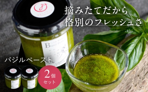 バジルペースト ２個セット ＜数量限定100セット＞ 摘みたて バジル ばじる フレッシュ 新鮮 生ペースト 香草 ハーブ 薬味 料理 調味料 味付け パスタ 野菜 チーズ 魚 ピザ サラダ アレンジ スパイス ソース イタリアン ベジタリアン ジェノベーゼ  三次市 / Atelier＋BOTANICAL [APCX001]