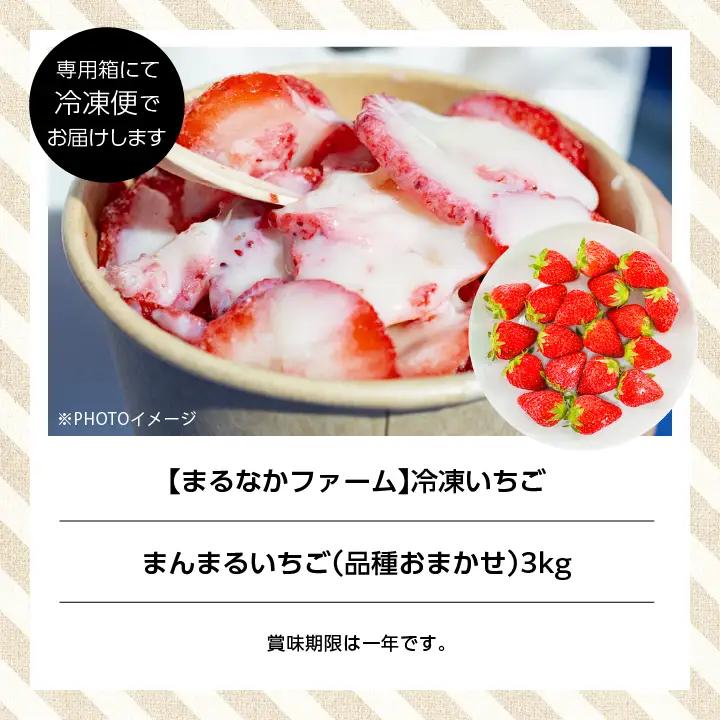 いちご 完熟冷凍いちご 3kg