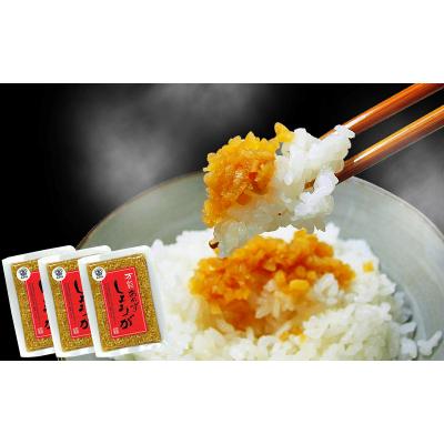 ふるさと納税 高知県 万能おかず生姜　3袋セット　【A06001】