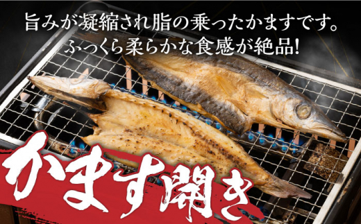 【全6回定期便】対馬 海の幸 干物 セット《対馬市》【対馬地域商社】九州 長崎 海鮮 [WAC028]冷凍 新鮮 魚 イカ あじ 鯵 アジ 剣先いか カマス 穴子 個包装 BBQ 魚介 浜焼き ひもの