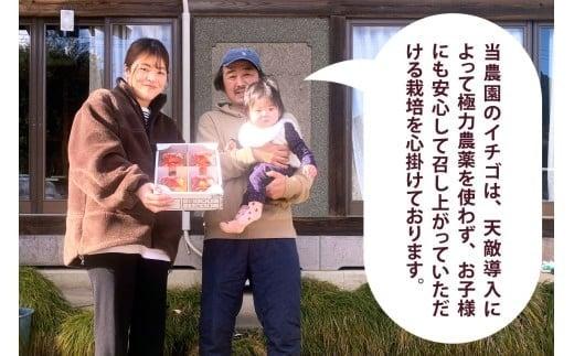 やさしさ仕立ての とちあいか 300g×4P 【2027年先行予約】 栃木県 矢板市