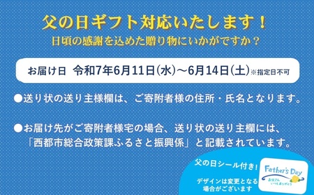 【父の日ギフト】妻地鶏炭火焼詰合せ45　100g×8パック＜1.5-113＞