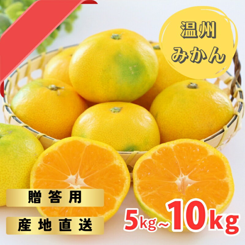 【ふるさと納税】 【先行予約】ゆら早生みかん 贈答用 秀品 5kgまたは10kg（2S〜2L）【2025年10月上旬から10月下旬までに順次発送】 / みかん 蜜柑 柑橘 果物 フルーツ 早生 秀品 贈答