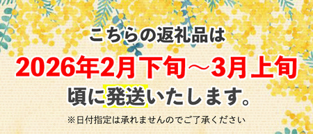 <ミモザの季節限定!2月下旬以降発送予定>ミモザパウンドケーキ~イタリアの春風~(1本) スイーツ ケーキ おしゃれ かわいい 可愛い ミモザ ミモザスイーツ 限定 期間限定 春 黄色 イエロー 花