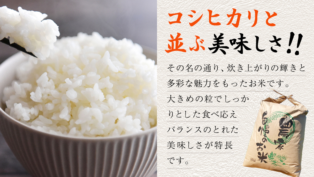 【 先行予約 】＜ 新米 ＞ 令和7年産 茨城県産 玄米 にじのきらめき 5kg 【2025年9月下旬より発送開始】 国産 茨城産 茨城県産米 つくばみらい市 精米 お米 こめ おこめ ごはん ご飯 