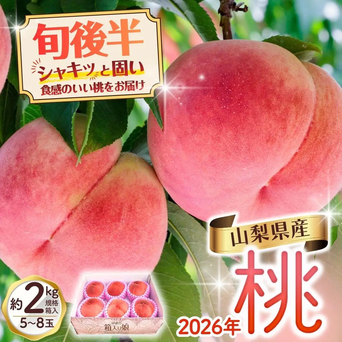 旬最終！シャキッと固い桃　山梨の桃　約2kg　シーズン最後の山梨県民の大好きな固い品種【tab0182】