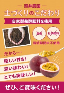 【2024年先行予約】農薬・化学肥料不使用　奄美パッションフルーツ1kg（12個前後）家庭用 - パッションフルーツ 奄美産 家庭用 1kg 12個前後 栽培期間中農薬・化学肥料不使用 鹿児島 奄美大