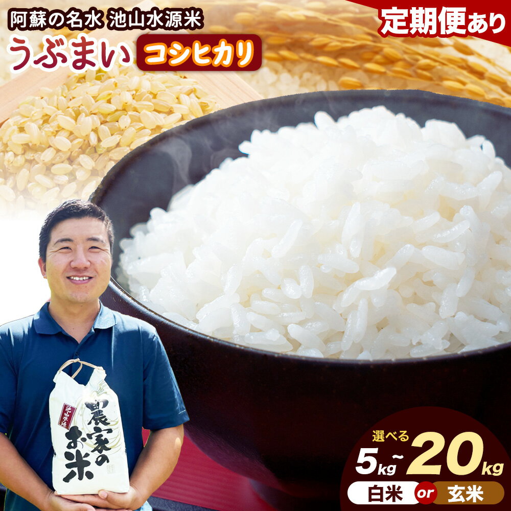 【ふるさと納税】令和7年産 うぶまい コシヒカリ 選べる 白米 玄米 10kg 20kg〈阿蘇の名水　池山水源米〉《30日以内に出荷予定(土日祝除く)》こめ こしひかり 名水 産山 あいこう農園