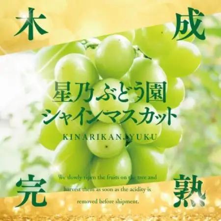 星乃 シャインマスカット 2kg以上 3～4房 数量限定 岡山県産【1778126】