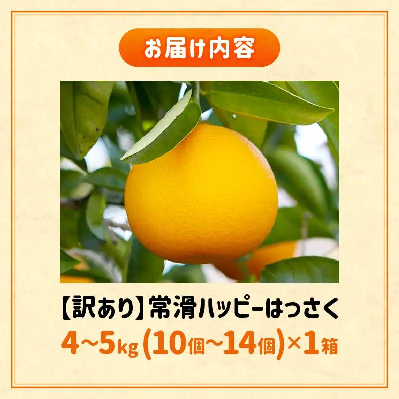 【先行予約】【訳あり】常滑ハッピーはっさく 4～5kg（10個～14個）｜ はっさく フルーツ常滑市