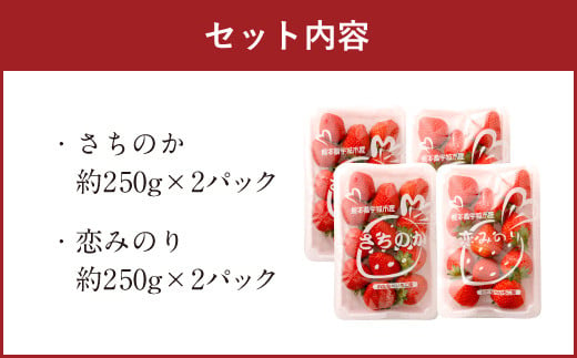 【3月発送】宇城市産いちご 「さちのか」「恋みのり」詰め合わせ 各約250g×2パック 計4パック 【わたなべいちご園】