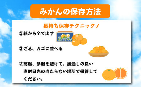 先行予約 みかん 蜜柑 約10kg 小原紅早生 小原紅早生みかん 柑橘 オレンジ 11月下旬～12月下旬 配送 選べる 容量 香川県 丸亀市