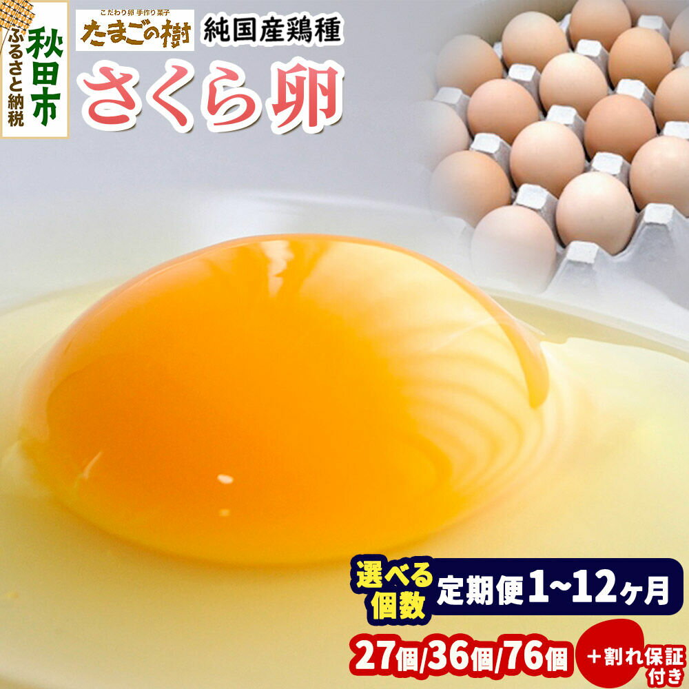 【ふるさと納税】たまごの樹 純国産鶏種 卵『さくら』【選べる個数＋定期便：27個+割れ保証3個（10個入×3P）／36個+割れ保証4個（10個入×4P）／76個+割れ保証4個（10個入×8P）＋定期便1〜】 [たまご タマゴ 玉子 鶏卵 まとめ買い]