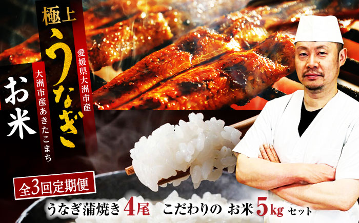 【全3回定期便】国産うなぎ！秘伝のタレで焼き上げた「うなぎ蒲焼き 4尾」と地元生産者こだわりの「お米 5kg」セット　愛媛県大洲市/有限会社 樽井旅館 [AGAH009]鰻 うな重 ひつまぶし 土用の丑の日 鰻重 ウナギ うな丼 鰻丼 うなぎ丼 お米 おにぎり 白米 ごはん ご飯 白ごはん