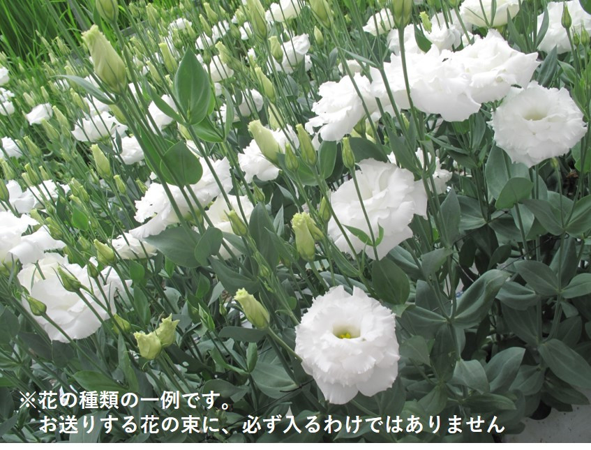 画像のお花はお届けする内容の一例です。