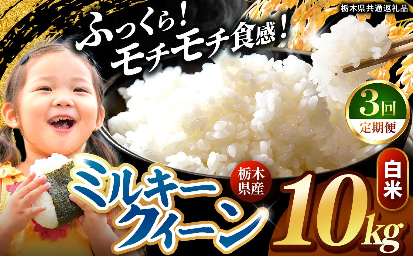 【定期便3回】栃木県産 ミルキークイーン 白米 10kg 2026年 先行予約 | 栃木県 矢板市
