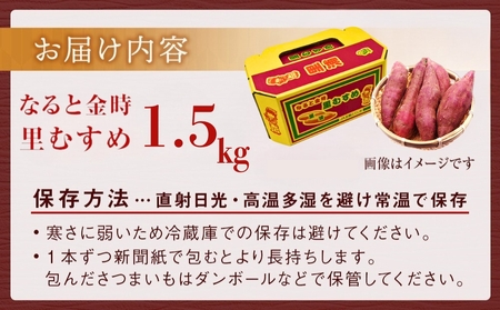 【 予約受付中・2025年9月下旬～10月頃より順次発送 】なると金時 里むすめ 1.5kg