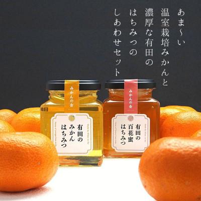 ふるさと納税 有田川町 夏の有田みかん(約1.5kg)と 有田のはちみつ( みかん蜂蜜・百花蜜 各210g) セット |  | 01