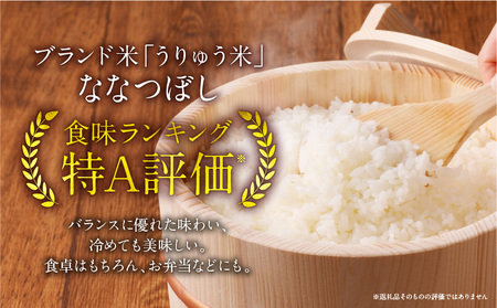 【定期便全4回】令和5年産 うりゅう米 ななつぼし 無洗米 5kg（5kg×1袋）毎月1回お届け