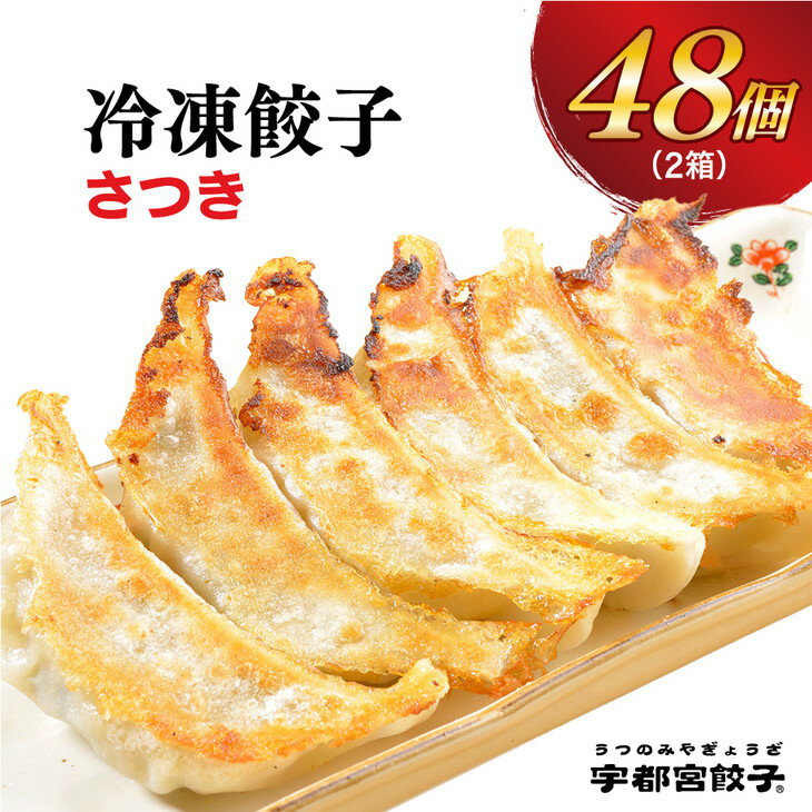 【ふるさと納税】【さつき】餃子24個入り×2箱｜餃子 ぎょうざ ギョウザ ギョーザ 冷凍食品 冷凍餃子 惣菜 夜ご飯 おかず おつまみ 手軽 時短 お取り寄せ グルメ 送料無料 栃木県 宇都宮市