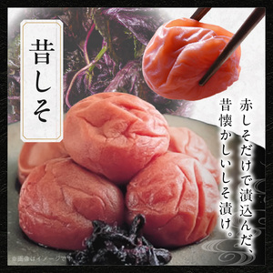 紀州南高梅　二段重箱（はちみつ・昔しそ）_SF1030