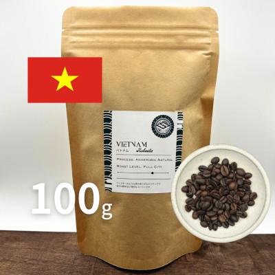 ふるさと納税 海南市 日方珈琲焙煎所　ベトナムロブスタ　コーヒー豆　自家焙煎　 100g