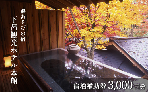 下呂温泉【下呂観光ホテル】宿泊補助券（3,000円分）旅館 宿泊券 温泉 旅行 東海 中部 岐阜県