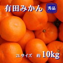 【ふるさと納税】紀州 有田みかん 秀品 10kg（2Lサイズ） 温州みかん ミカン 蜜柑 柑橘 フルーツ　※2024年11月下旬～2025年1月上旬頃順次発送予定