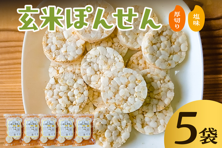 玄米ぽんせん(厚切り･塩味)30g入り5袋セット mi0100-0001-2