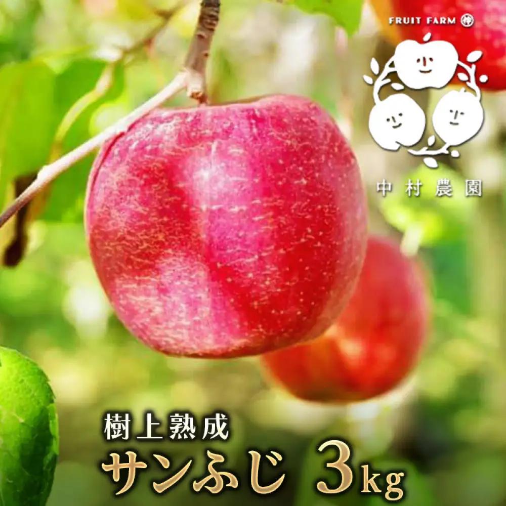 フルーツファーム中村農園　【11月下旬発送 先行予約】樹上熟成　サンふじ 3kg | りんご サンふじ 樹上熟成 糖度