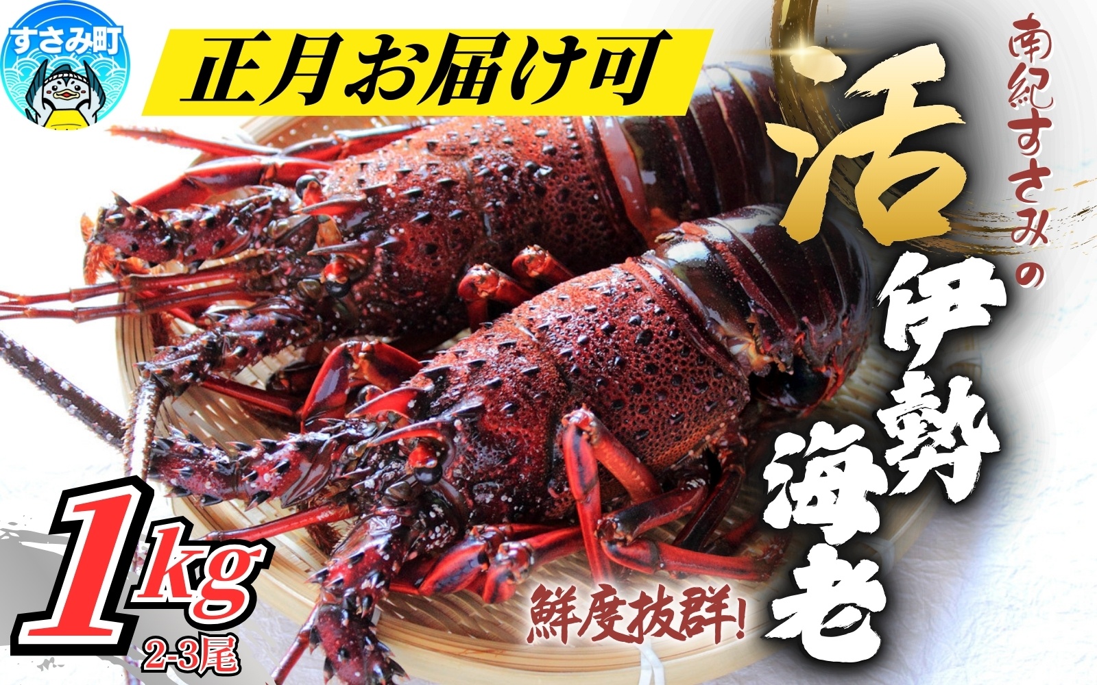 ＼期間限定・数量限定／ 南紀すさみの活き伊勢海老 約1kg(2～3匹)【日付指定必須】伊勢海老 伊勢エビ イセエビ 海老 えび エビ 活き 天然 すさみ町【eki109A】