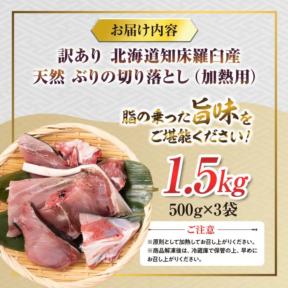 訳あり 知床羅臼産 天然ぶり 切り落とし（加熱用）1.5kg（500g×3袋 ）魚 ブリ 北海道 国産