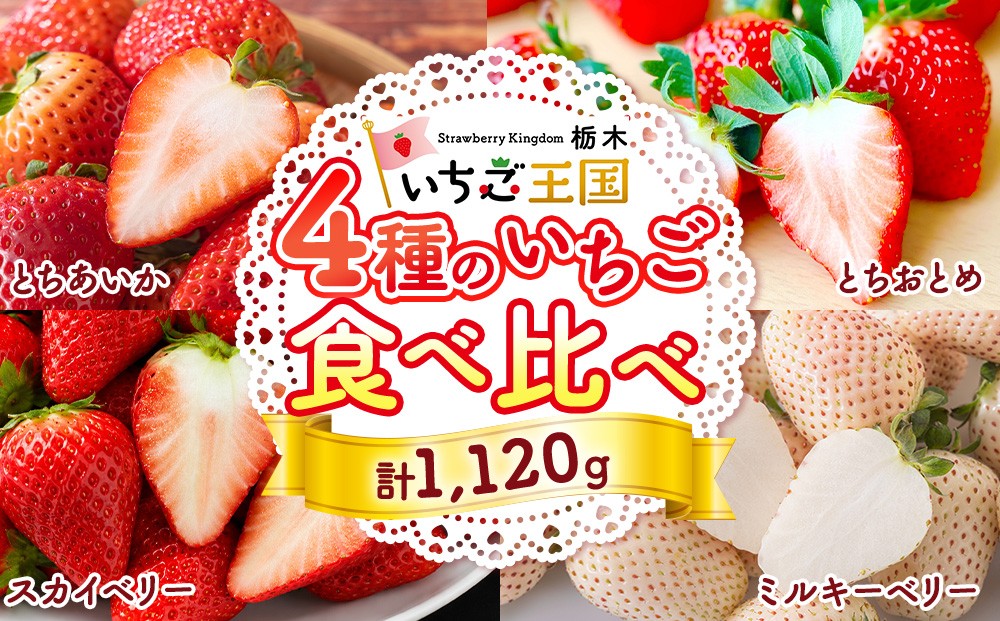 
                  【先行受付】いちご王国栃木 いちご4種食べ比べセット (とちあいか とちおとめ スカイベリー ミルキーベリー各280g 4パック入り1箱) ｜果物 栃木県産 小野崎農園 数量限定 期間限定 ※2027年1月～発送
                