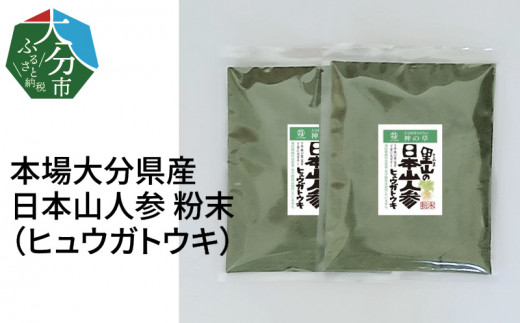 日本山人参（ヒュウガトウキ）粉末 本場大分県産 不老長寿 高品質 日向当帰 小分け 健康 美容 絶滅危惧植物 苦味 お茶 味噌汁 吸い物 農薬・化学肥料不使用 F09002