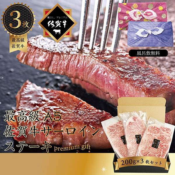 佐賀牛 サーロインステーキ 200g×3枚 ギフト：B046-006