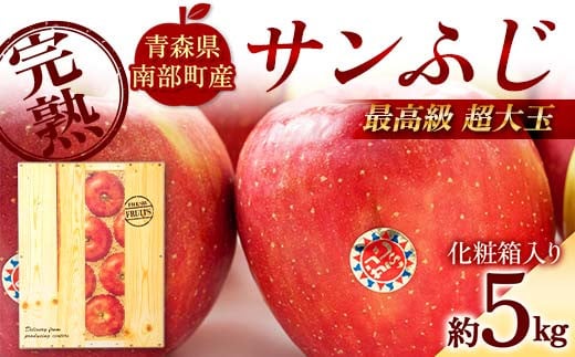 最高級（超大玉） 青森産 完熟 りんご サンふじ 約5kg 化粧箱入り 【誠果園】 青森りんご リンゴ 林檎 アップル あおもり 青森 青森県 南部町 三戸 南部 澁川賞受賞 果物 くだもの フルーツ F21U-384