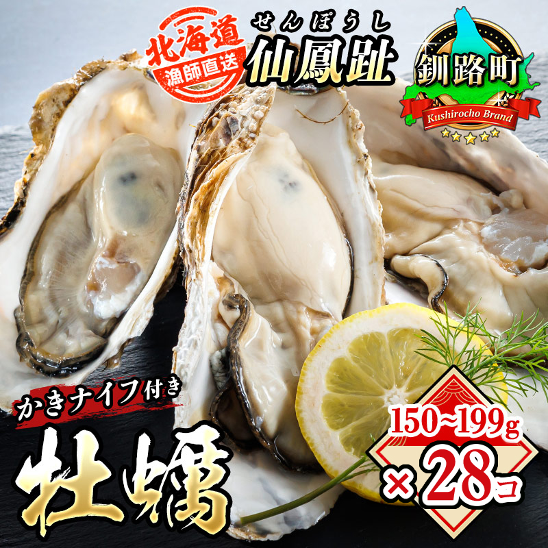 北海道 仙鳳趾名産 牡蠣 150g～199g×28コ＋かきナイフ付き かき漁師直送K4-4 【センポウシ : 釧路町の東 厚岸湾の西 カキの名産地】 仙鳳趾 北海道 釧路町 釧路超 特産品