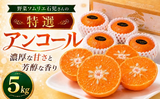 【2027年先行予約】野菜ソムリエ石児さんの「特選 アンコール 5kg（2.5kg×2箱）」 ／ アンコール あんこーる アンコールオレンジ ミカン みかん 蜜柑 柑橘 特選 甘い 5kg 柑橘類 5キロ フルーツ 先行予約 3月 4月 3月発送 4月発送 ＜103-022＞