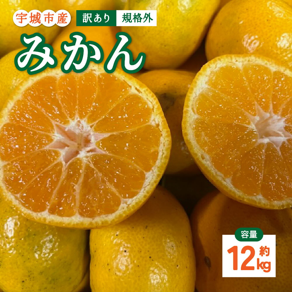 【ふるさと納税】【先行予約】 訳あり みかん 約12kg 規格外 サイズ不選別 【2025年10月下旬〜2026年1月下旬発送予定】 ミカン 蜜柑 柑橘 九州 熊本県 宇城市 株式会社GGYパッケージ