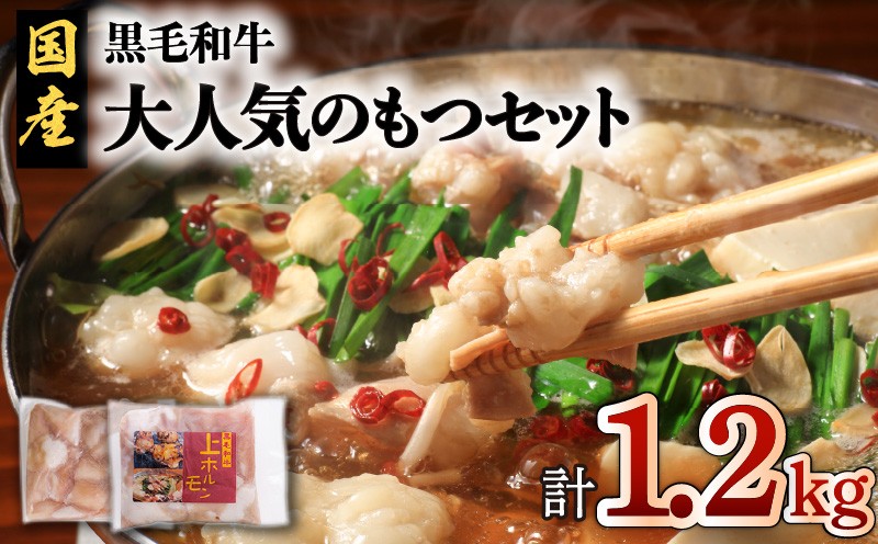 
黒毛和牛！大人気のもつ（ホルモン）セット　K002-006
