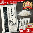 【ふるさと納税】＼ 追加で4合プレゼントキャンペーン中！！／【 各期間 数量限定 】茨城県産 コシヒカリ or 2種 食べ比べ 精米 10kg / 20kg (5kg袋）＼ 選べる品種・内容量・出荷時期 ／ 令和6年産 こしひかり 米 コメ こめ 単一米 限定 茨城県産 国産 美味しい お米