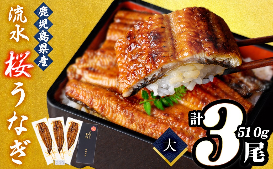 熟練の技が冴える！うなぎの柳澤 至極うなぎ蒲焼き3尾(計510g) b2-016