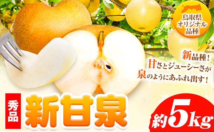 【秀品(赤秀)】先行予約 新甘泉 約5kg《2026年8月下旬-9月下旬頃出荷》鳥取県 八頭町 梨 なし 果物 フルーツ 特産品 秀品 赤秀 贈答用 先行予約 送料無料 果汁 デザート