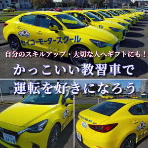 普通車 技能教習チケット(8時限分)+スーパー安心プラン【1232470】