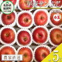 【ふるさと納税】 りんご 蔵出し 早春 サンふじ 家庭用 ( 小玉 ) 5kg 井澤農園 沖縄県への配送不可 令和6年度収穫分 エコファーマー認定 長野県 飯綱町 〔 信州 果物 フルーツ リンゴ 林檎 長野 13000円 予約 農家直送 〕発送時期：2025年3月上旬～2025年4月上旬 {**}