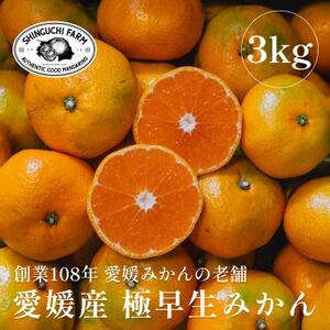 創業百八年 愛媛みかんの老舗【極早生みかん3kg】愛媛県川上産【新口農園】【B70-66】【1615054】
